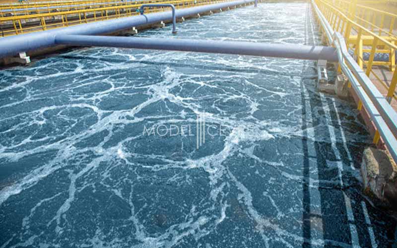 biyolojik-aritma-nedir